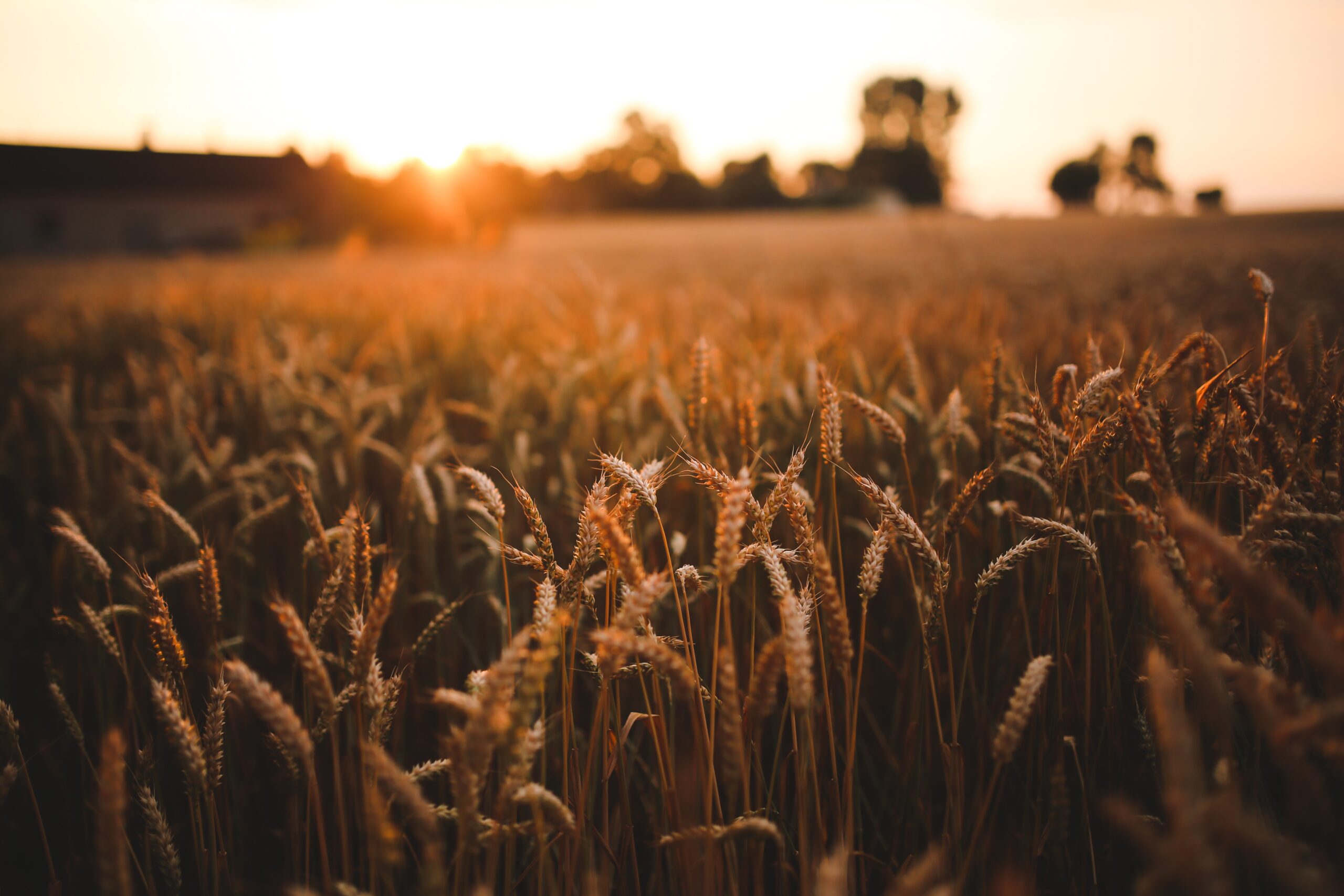 agricultural-science-baker-technical-institute